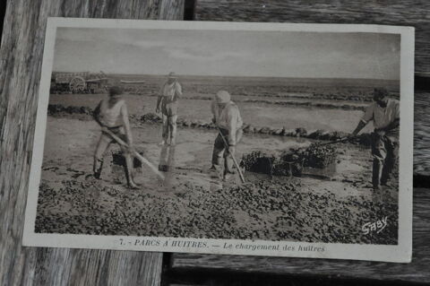 CPA Charente Maritime  Parcs � huitres  10 Nieuil-l'Espoir (86)