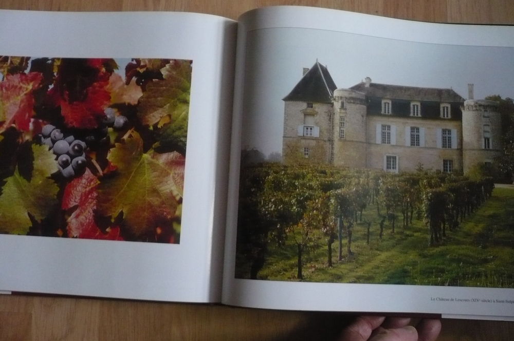 SAINT-&Eacute;MILION, AU-DEL&Agrave; D'UNE APPELLATION de Alain DENIS 2001 Livres et BD