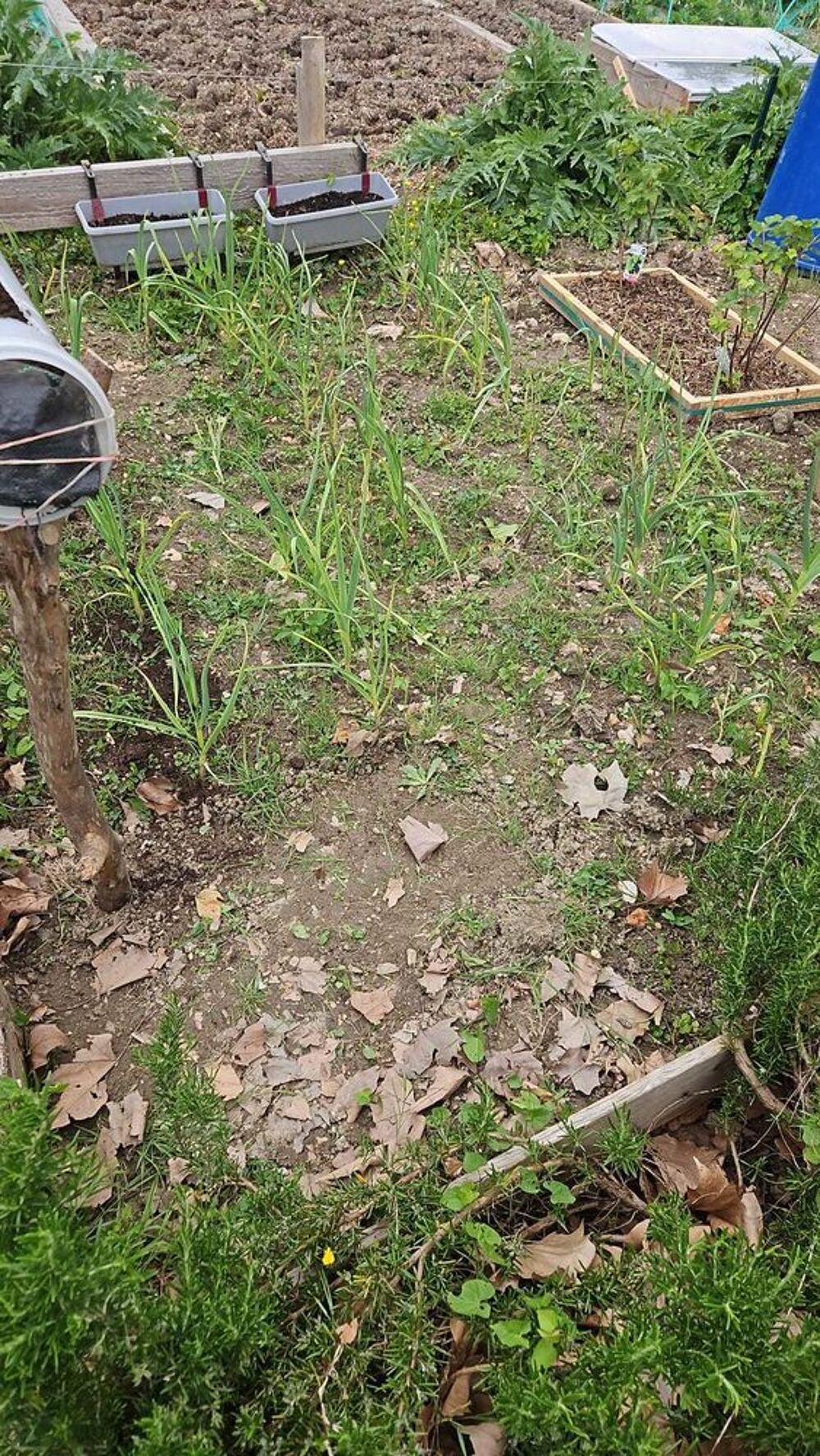 r&eacute;cup&eacute;rateur d'eau Jardin