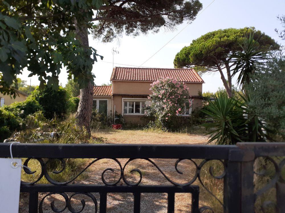 Vente Maison Maison Marseillan -plage 67 m2 produit rare Béziers