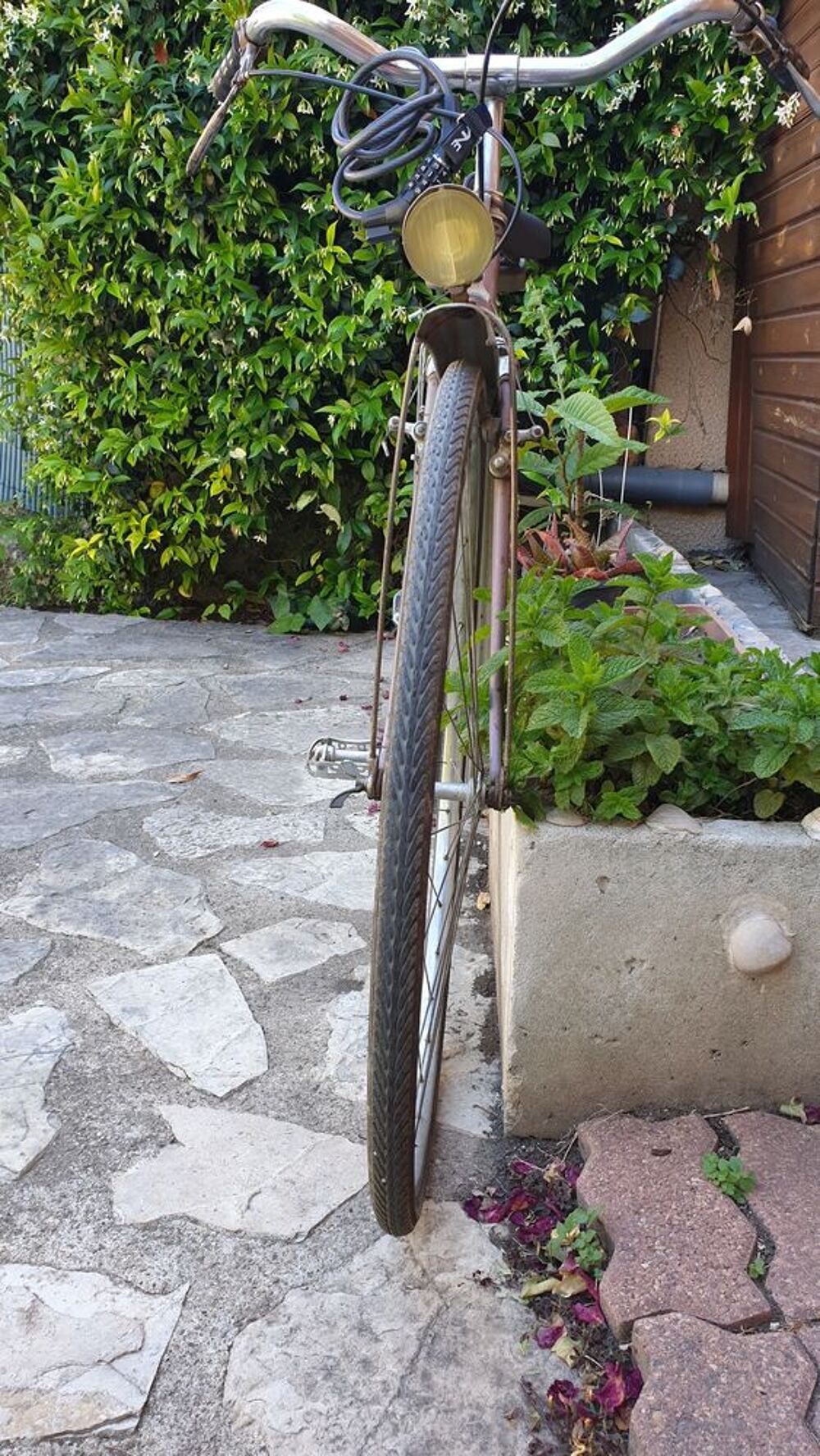 Mercier route Ann&eacute;e 50 Vélos
