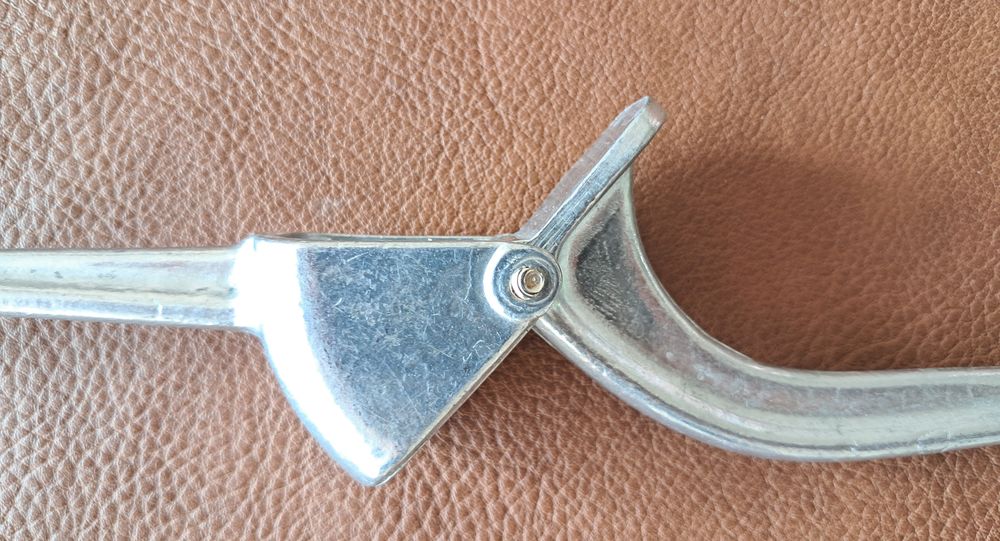 presse ail en m&eacute;tal inox 
longueur 14 cm
Cuisine