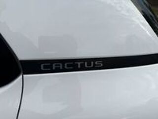 C4 cactus BlueHDi 120 S&S EAT6 Shine (6 CV) 2019 occasion 65800 Aureilhan