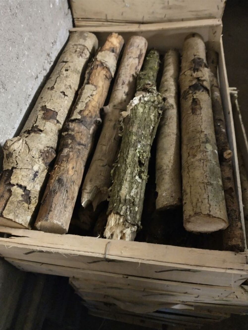 BOIS DE CHAUFFAGE Jardin