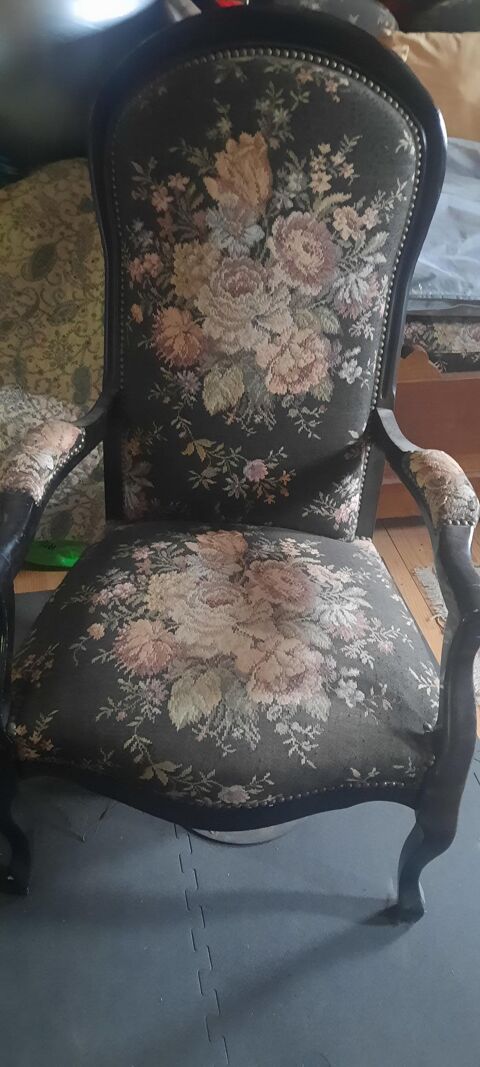 Lot de 2 fauteuils voltaire 300 Arzens (11)