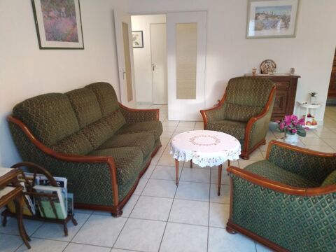 Salon style rustique en velours vert 200 Firminy (42)