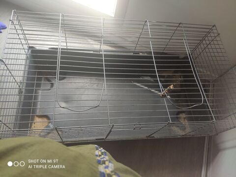 Cage pour lapin 10 93190 Livry-gargan