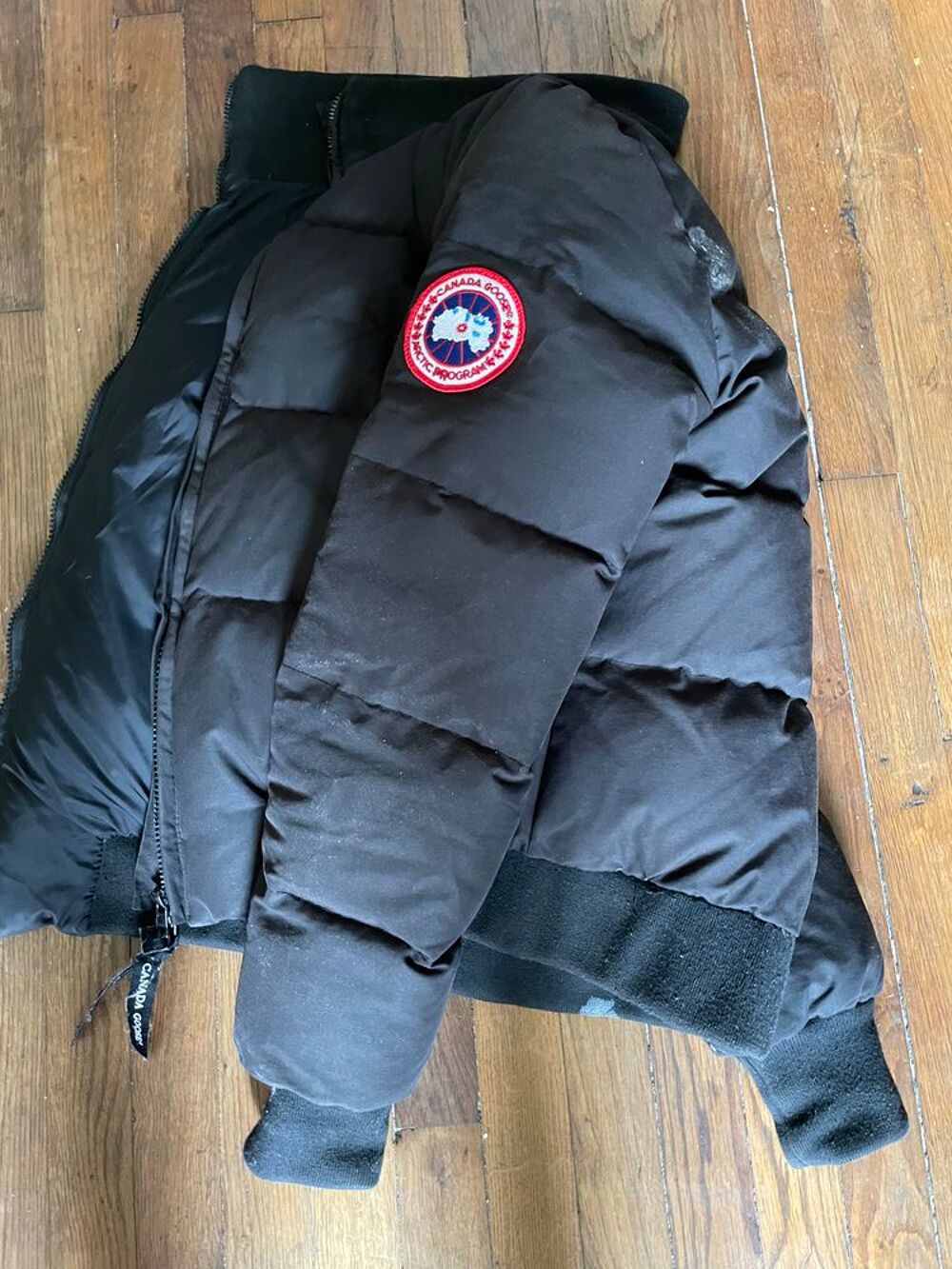 Canada goose new arrivals à vendre