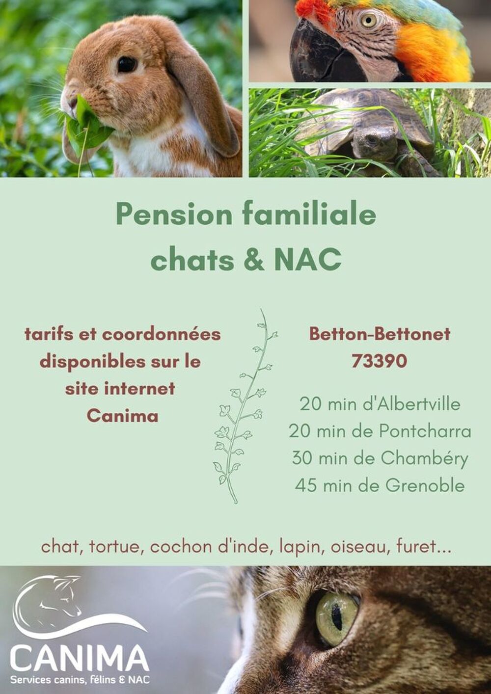   Pension chat lapin cochon d'inde tortue oiseau furet 