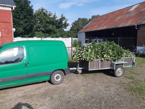 Évacuation déchet vert ou encombrants déchetterie 0 80190 Morchain