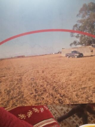  Terrain  vendre 31000 m Berrechid, morocco