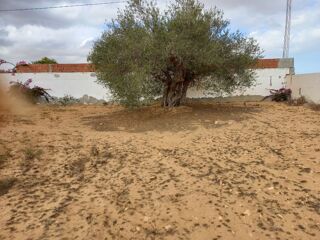  Terrain � vendre 120 m� Midoun