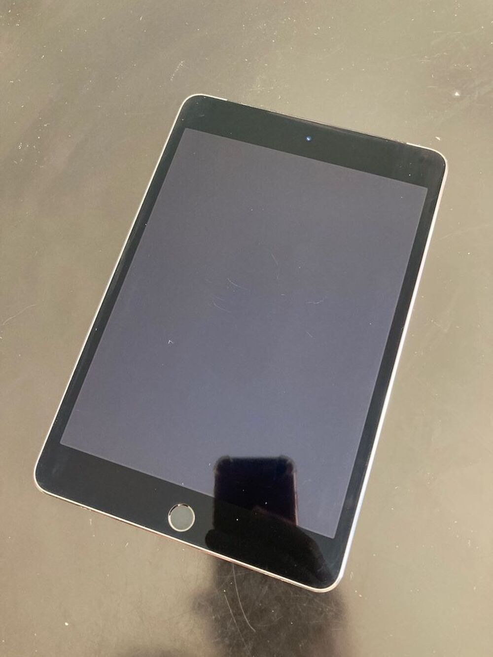 iPad mini 4 (WiFi + 4G) + MANFROTTO Digital Director Photos/Video/TV