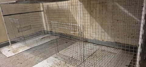 Voliere grillage 2 metres de long. 90 95190 Goussainville