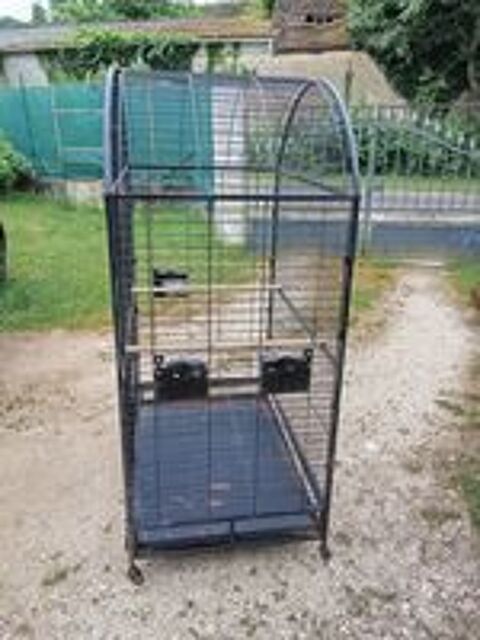   Cage pour perroquet 