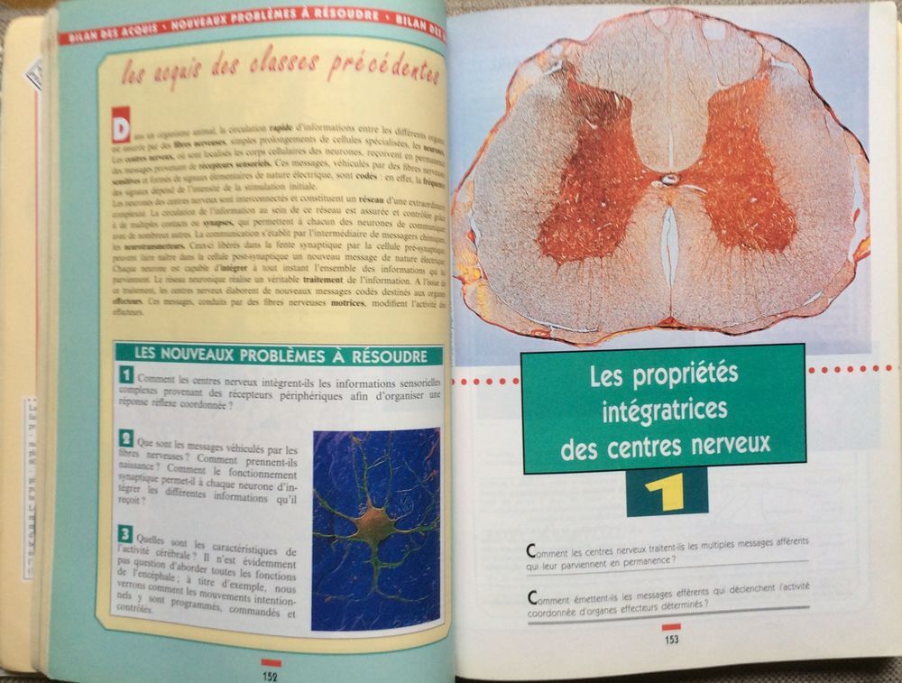 Manuel scolaire " Sciences de la vie et de la terre " TS Livres et BD