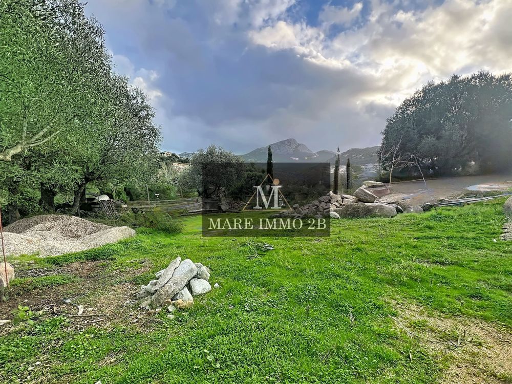 Vente Terrain terrain constructible de 500m² Calvi