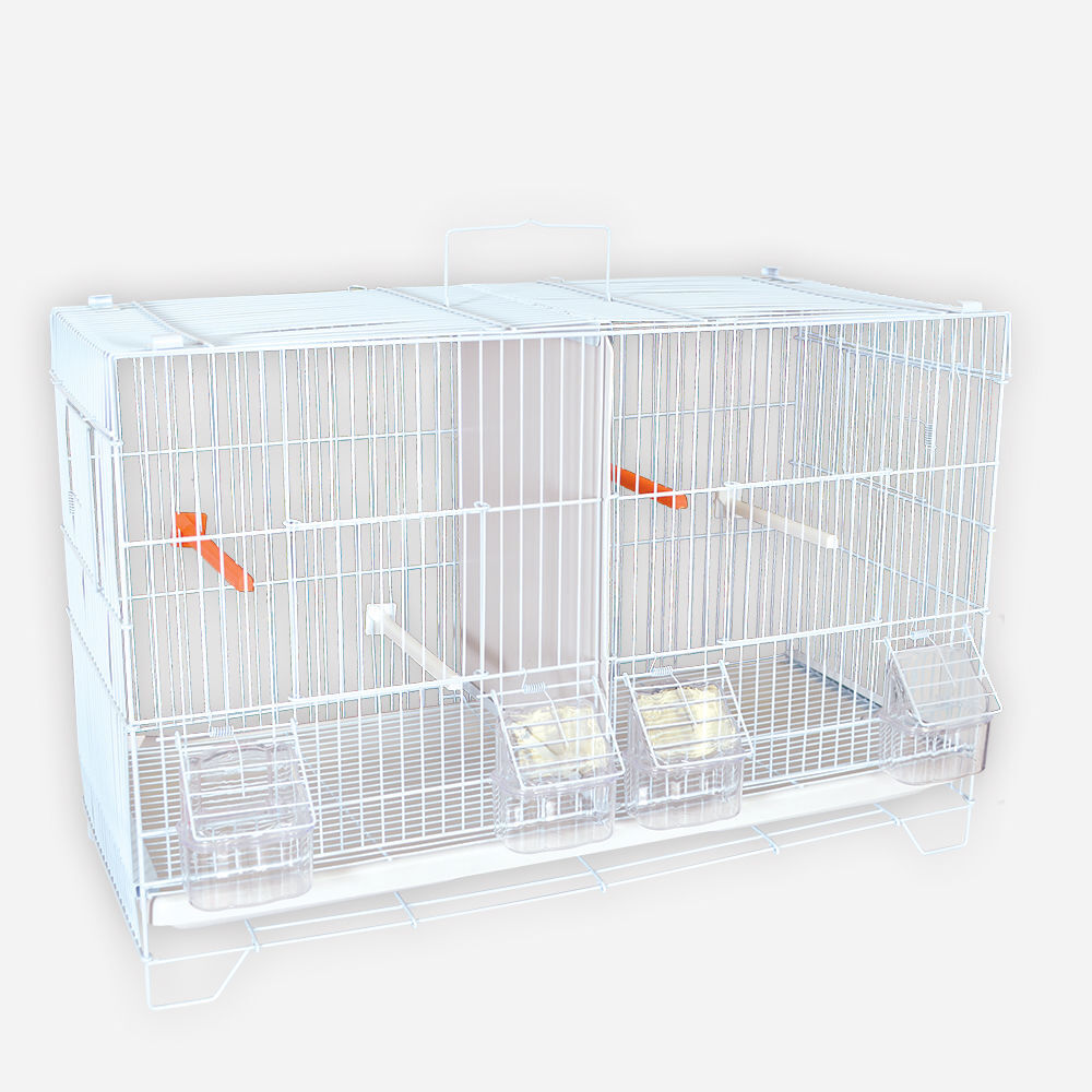   CAGE  