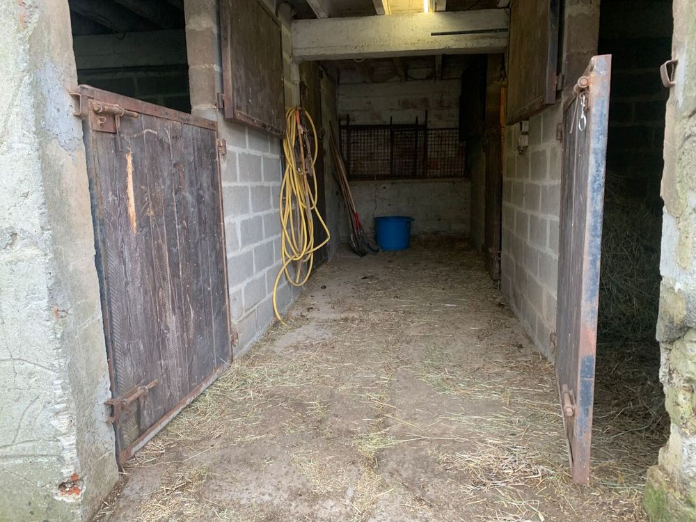 Location Autre HARAS D'ELEVAGE TROTTEUR Cerisy-la-forêt