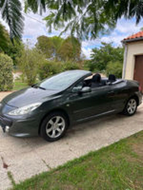 307 navtec 2006 occasion 85200 Doix
