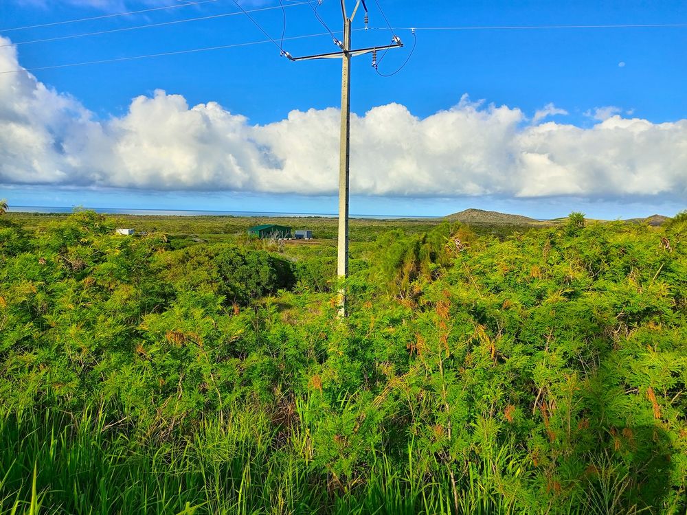 Vente Propriété/Château PROPRIETE de CHASSE  en NOUVELLE CALEDONIE Nouvelle-calédonie