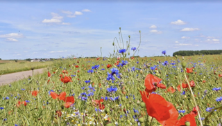  Maison � vendre 6 pi�ces 131 m�