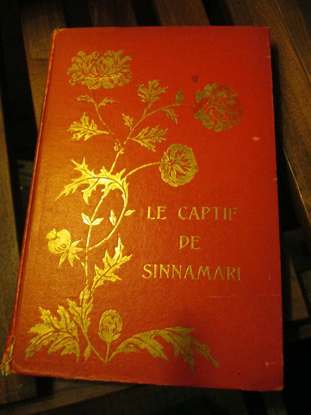 Le captif de Sinnamari (Barb&eacute;-Marbois) 