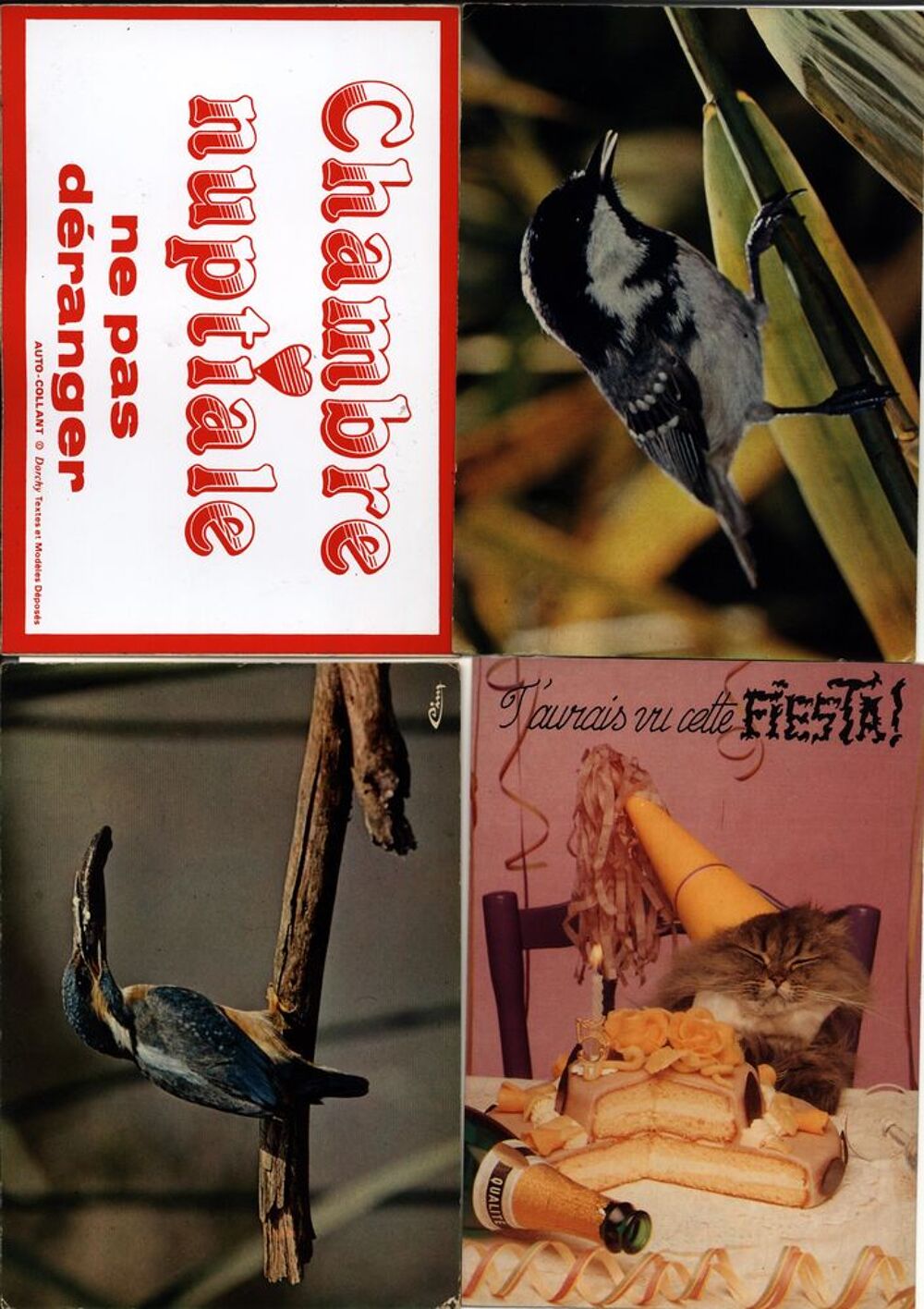 Lot de 4 cartes postales

