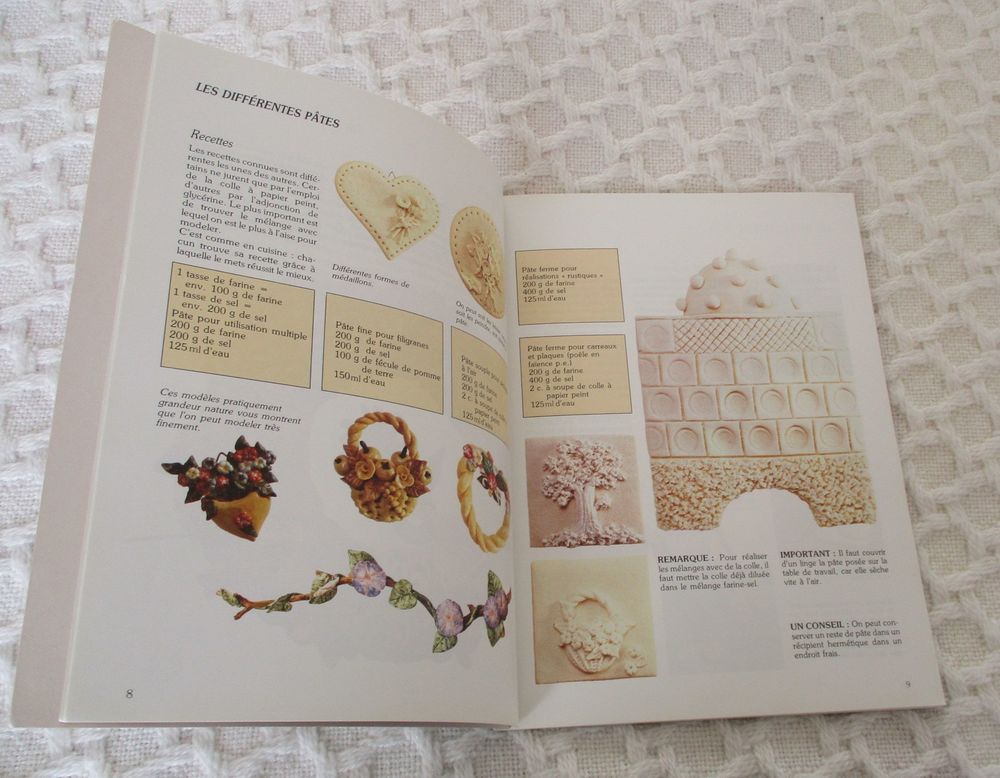LIVRE DECORS EN PATE A SEL Livres et BD
