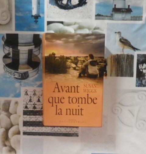 AVANT QUE TOMBE LA NUIT de Susan WIGGS France Loisirs Roman 4 Bubry (56)