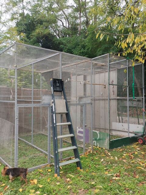 Volière 230 47200 Fourques-sur-garonne