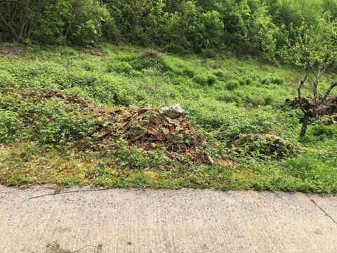 PRÊTE GRATUITEMENT terrain 5000m2 pour paturer- 52 Joinville 0 52300 Joinville