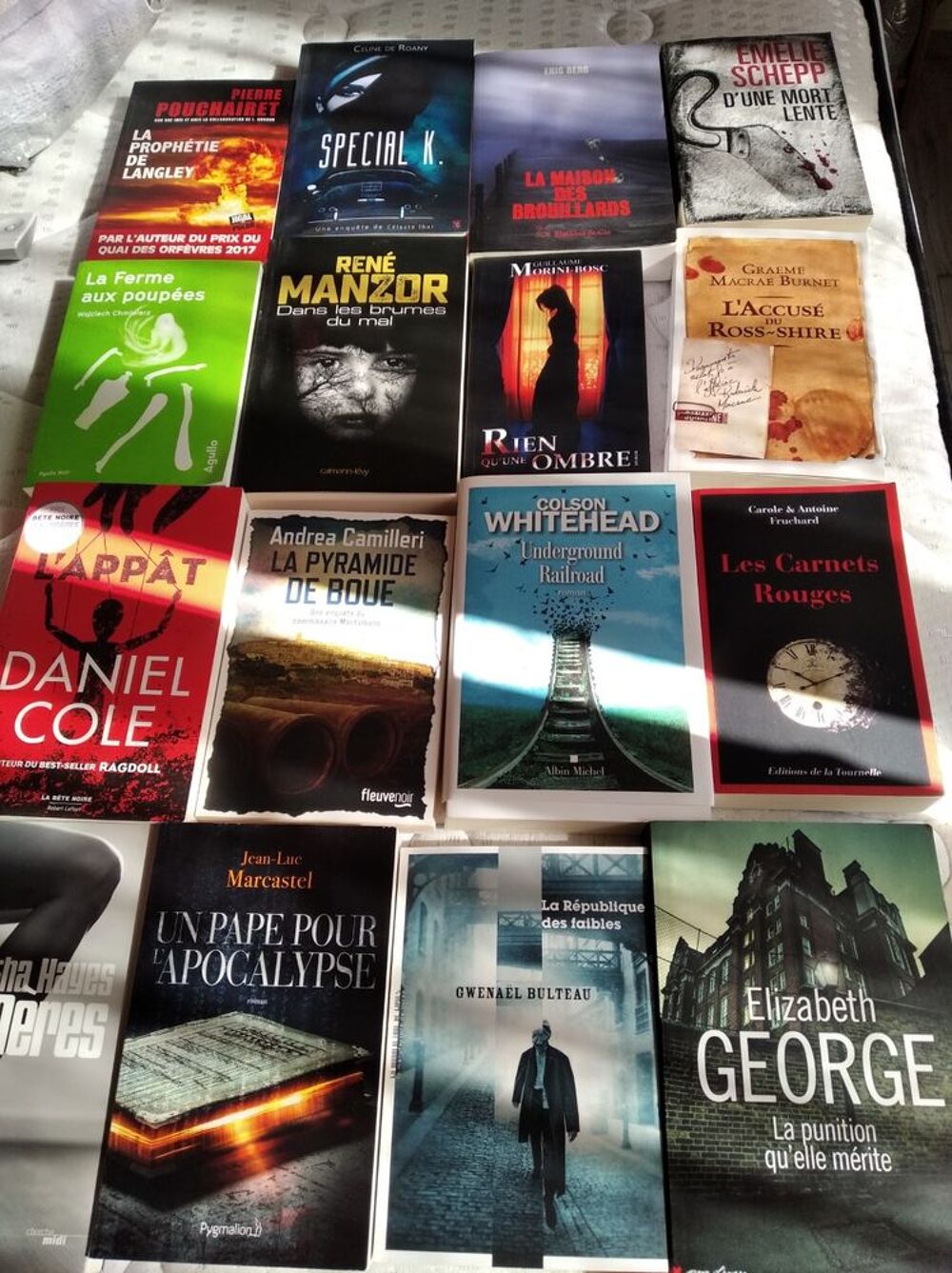 Lot 79 polars, thrillers, polars historiques grand format Livres et BD