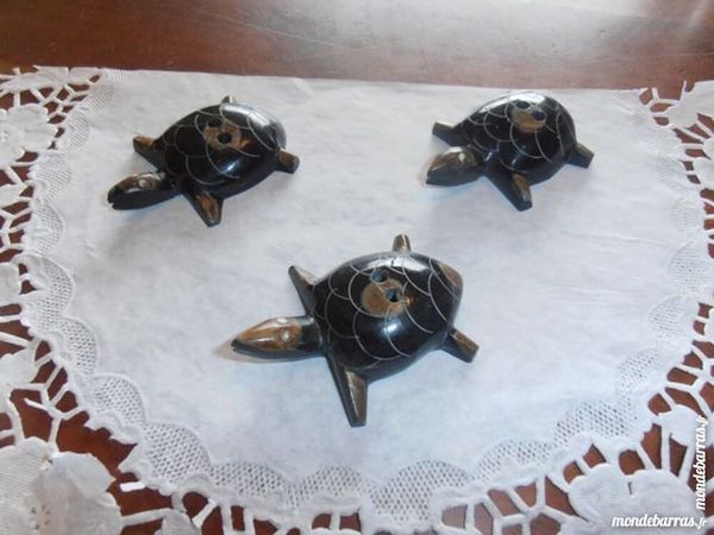 Collectionneurs de tortues (28a) Décoration