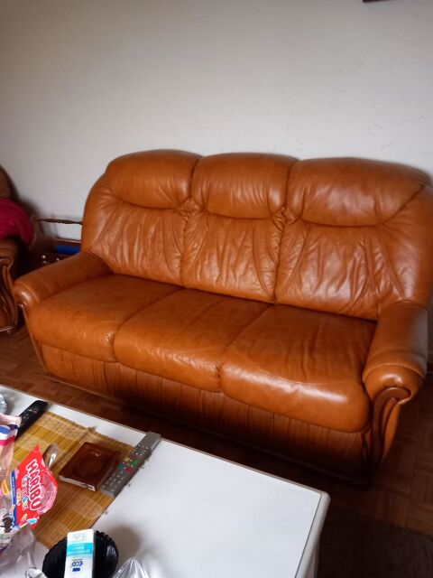 Canape cuir 200 Moyenmoutier (88)