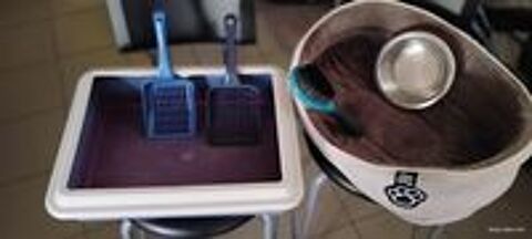   Accessoires pour chat  