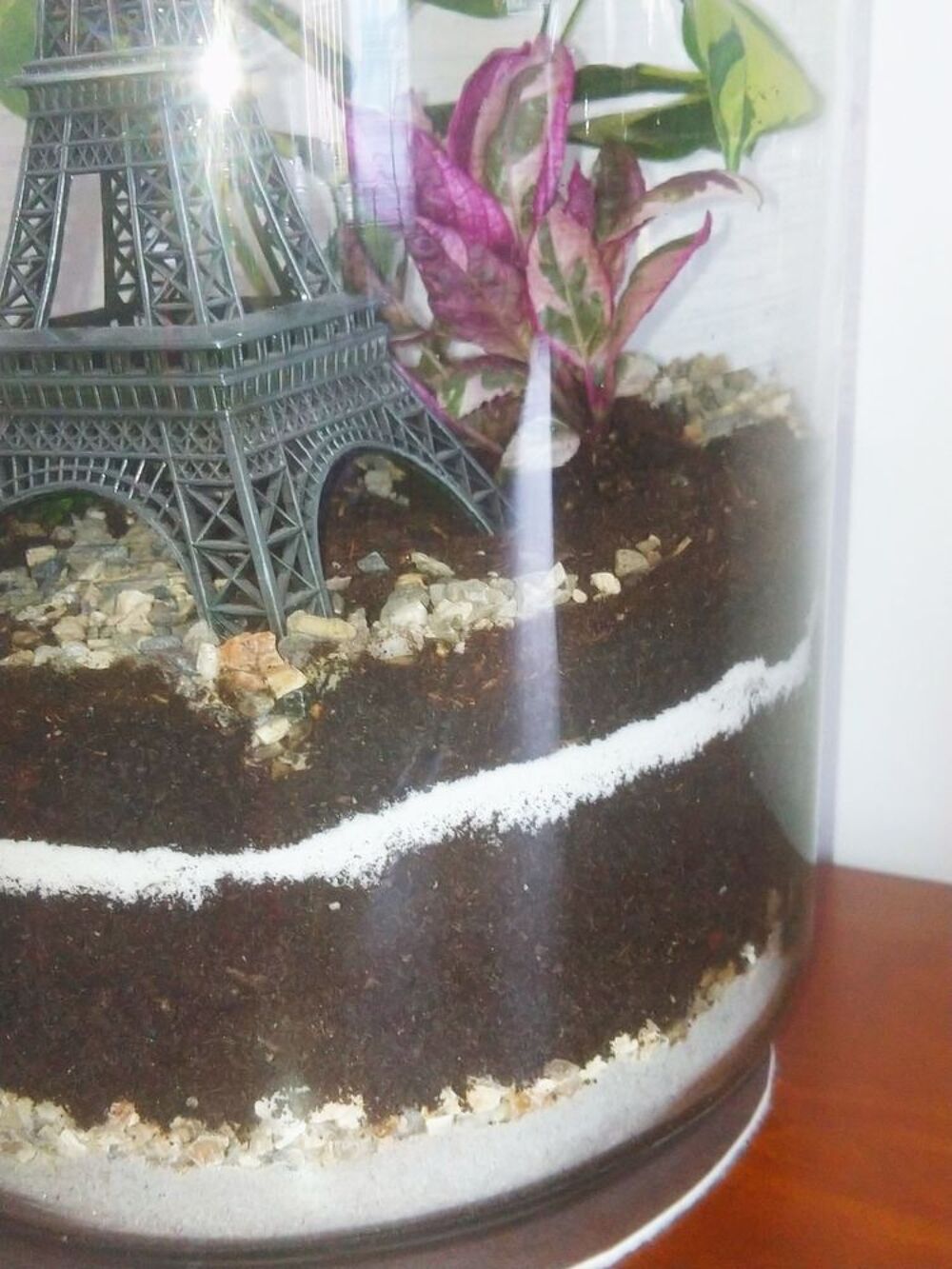 Terrarium tour Eiffel Décoration