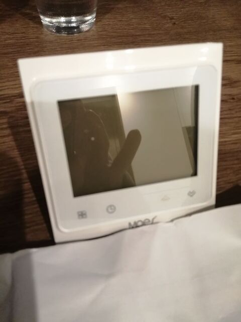 Thermostat d'ambiance filaire 30 Amb�rieu-en-Bugey (01)