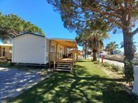  2025 occasion 66440 Torreilles