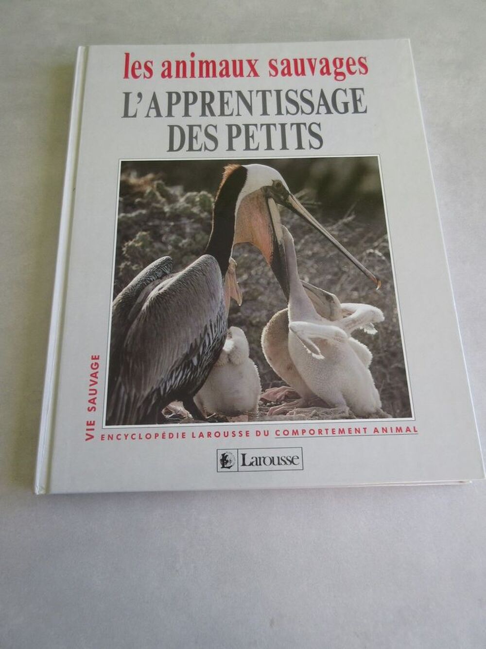 Livres animaux Livres et BD