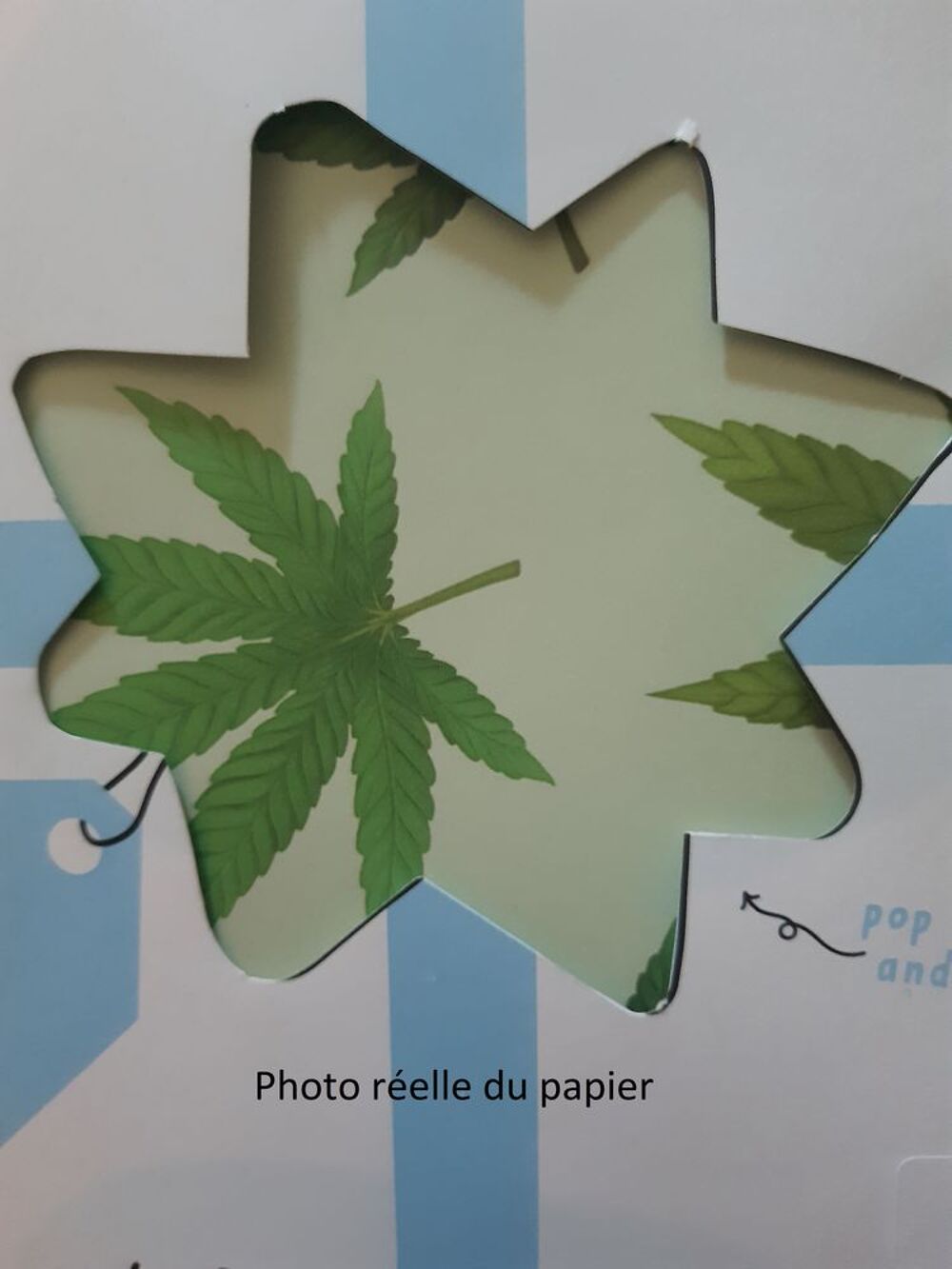 6 feuilles de Papier cadeau Vert clair/fonc&eacute; motif feuille Décoration