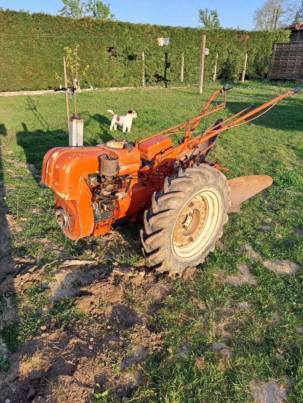 motoculteur tr&egrave;s bon &eacute;tat Jardin
