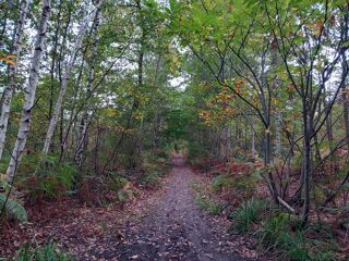  Appartement � vendre 2/3 pi�ces 65 m�