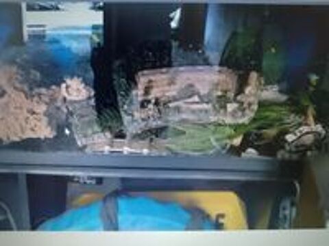   Grand aquarium  