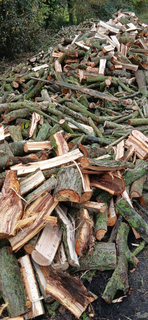 bois de chauffage 60 Hazebrouck (59)