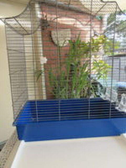   cage à oiseaux 
