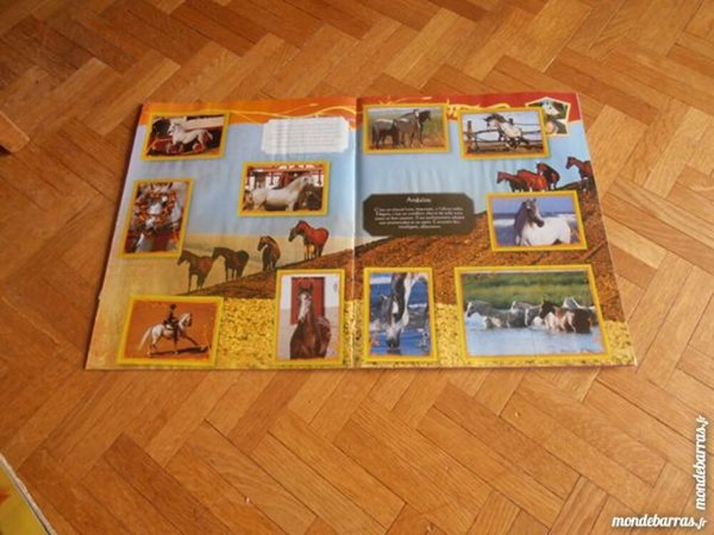 Album chevaux 1 (76) 