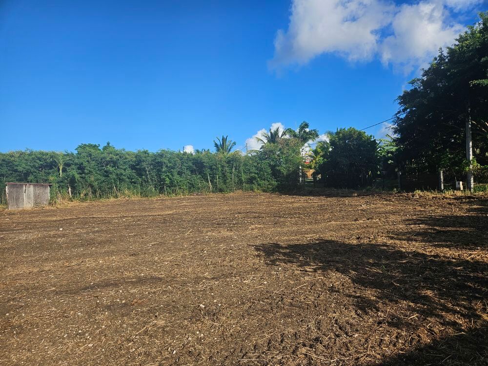 Vente Terrain Terrain plat a fort potentiel Le moule