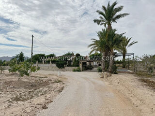  Maison  vendre 5 pices 244 m Albatera