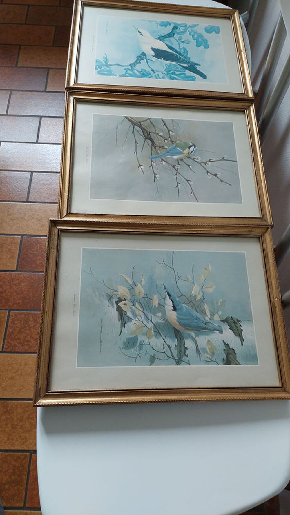 Tableau oiseaux Décoration
